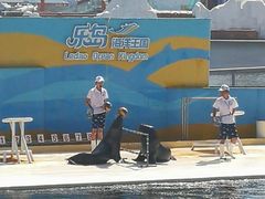 -秦皇岛乐岛海洋王国