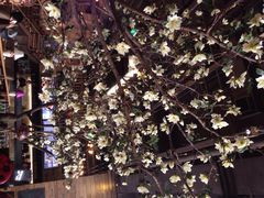 山有花啡餐厅-山有花啡餐厅(常营总店)