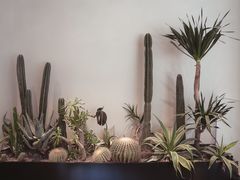 -J Create城市露营咖啡·简餐·宠物(上海动物园店)