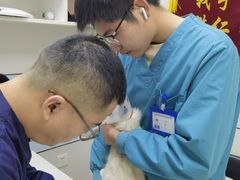 -中农国际动物医院24小时·猫科·骨科·急重症中心