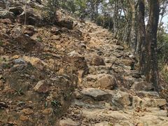 -梧桐山风景名胜区