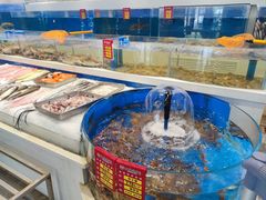 -北塘海鲜·天津菜(大光明桥旗舰店)