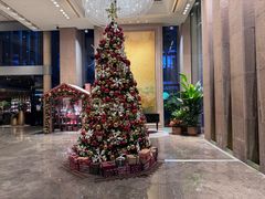 -北京朝阳悠唐皇冠假日酒店