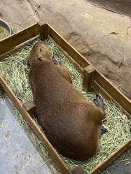 -Zoolung Zoolung动物主题公园(海信广场店)