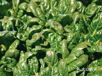 最新鲜的食材，现采，现洗，现炒