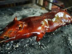 -黄记四更烤乳猪店