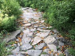 -北京鹫峰国家森林公园