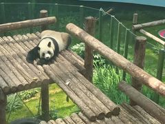 -大连森林动物园