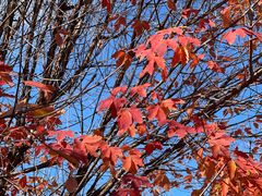 -北京西山国家森林公园