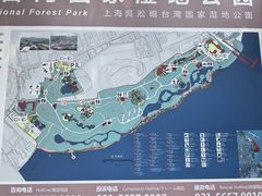 -吴淞炮台湾湿地森林公园烧烤区