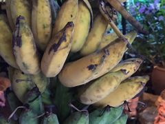 -自然餐厅(Phuket)