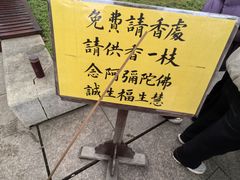 -庐山风景名胜区-东林大佛