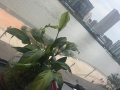 -张博士茗茶馆(外滩店)