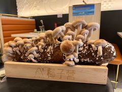 -椰子营·椰子鸡火锅(万象里店)