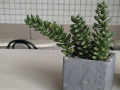 -夏羽记甜品(小榄大信店)