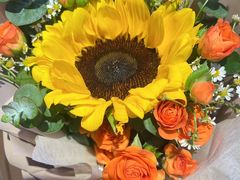 -俭寨大盘芦花土鸡·小公鸡·烧烤新疆菜(云通店)