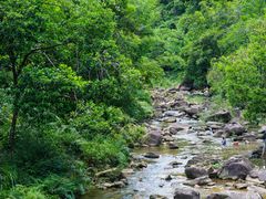 -广州白江湖森林公园