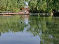 -海淀公园