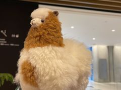 -茑屋书店(天目里店)