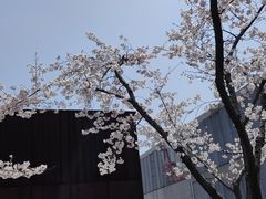-龙美术馆(西岸馆)