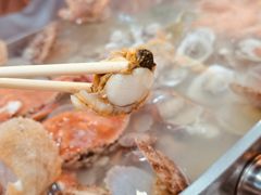 扇贝-名超海鲜烧烤大排档