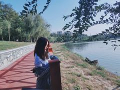 -丁香湖公园