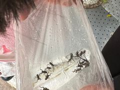 -宁波儿童公园(鄞州区)