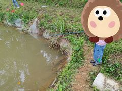 -武汉开心果园农业发展有限公司