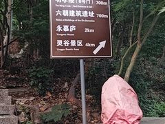 -紫金山山顶公园