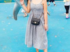 -大连圣亚海洋世界