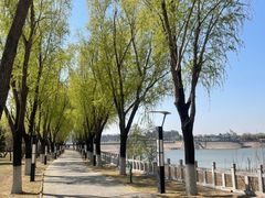 -青龙湖公园