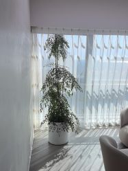 -HEYAN荷妍专业脱毛连锁机构