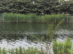 -东山风景区(洞庭东山)