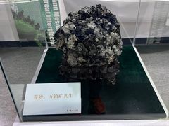 -中国第四纪冰川遗迹陈列馆