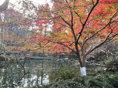 -杭州植物园