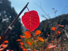 -北京上方山国家森林公园