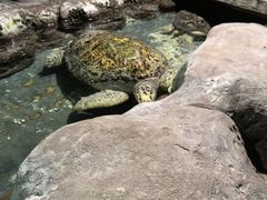 -南昌海洋公园