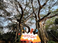 -瑞丽独树成林风景区