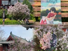 -迎泽公园