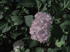 -常州古运河南大街文化旅游区-人民公园