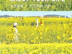 -光明小镇欢乐田园