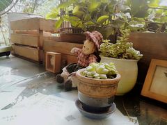 -懒鱼时光馆(沙坪坝店)