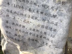 -莲湖公园