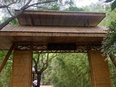 -大兴滨河森林公园