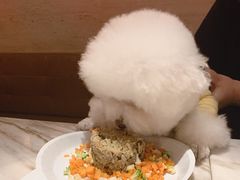 -the rug 飞毯 (朝阳公园店)