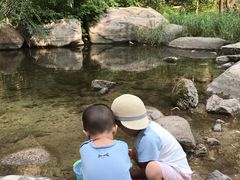 -碓臼峪自然风景区