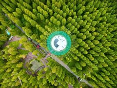 -黄海国家森林公园