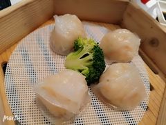 招牌虾饺-避风塘(江桥万达店)