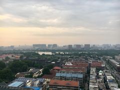 -梧桐餐厅(泉城路店)