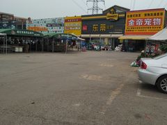-中环花鸟鱼虫市场